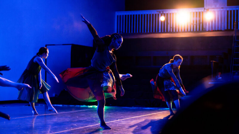 The Language of Motion: Unveiling the Timeless Art and Soul of Dance